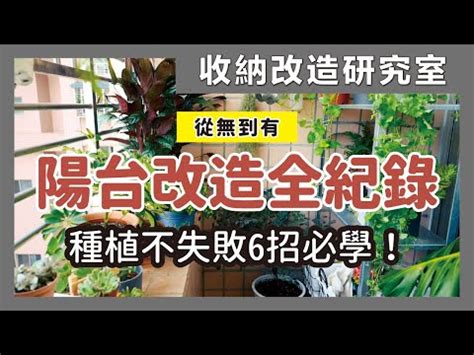 陽台植物風水|【陽台植栽】15 種陽台植栽推薦｜新手也能輕鬆養出 